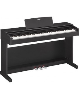 Premium digital piano rental