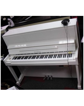 Silent silent acoustic piano in monthly rental