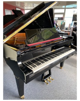 Monthly leasing rental grand piano
