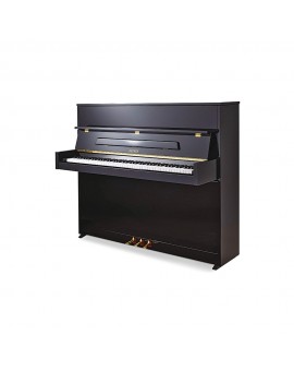 PIANO PETROF P118 S1
