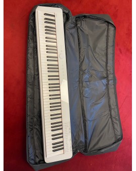 Digital piano case