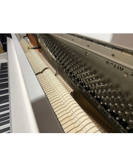 ALUNO PIANO VERTICAL SCHAEFFER 113 C (USADO / NOVO)