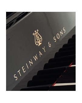 Usato STEINWAY B pianoforte a coda