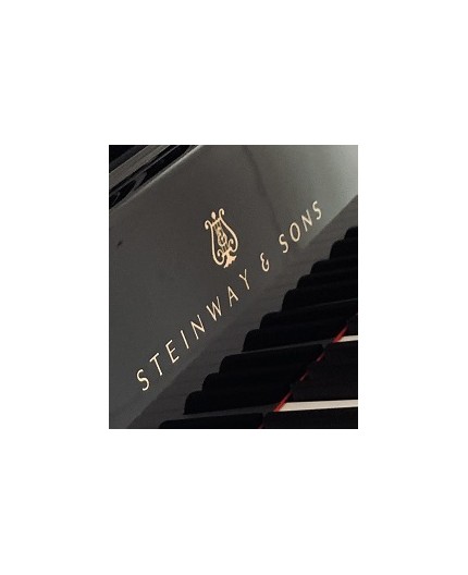 Vleugel STEINWAY & SONS, Model B, Gecertificeerd Gebruikt Winkel Nancy ...