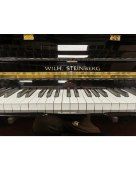 WILH PIANO. STEINBERG IQ 22