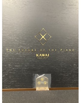 KAWAI PRETO FOSCO E200