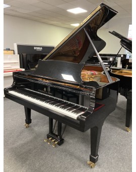 Legendary piano na empresa NANCY STEINWAYB