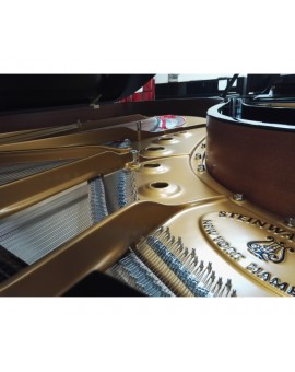 Steinway Available with Steinway tail