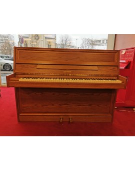 Pianoforte verticale Euterpe 107