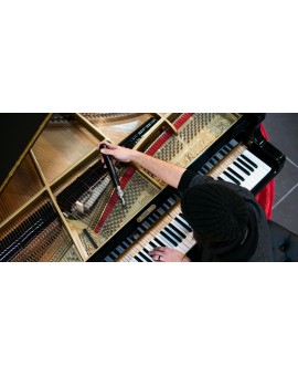Acorde de piano vertical ou piano de cauda