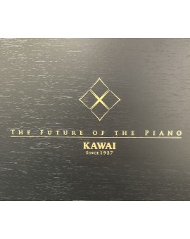 Kawai E300 mat zwart