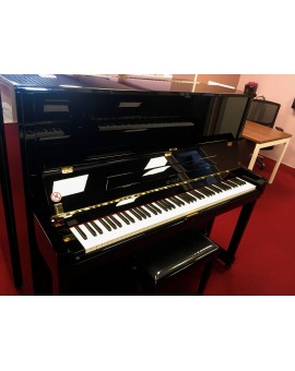 EXPRESSÃO PIANO VERTICAL PETROF P131 M1 (NOVO)