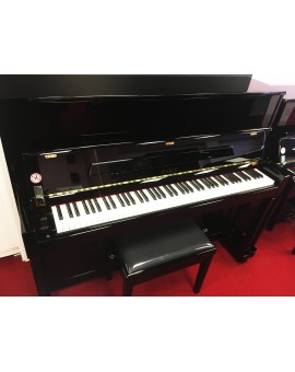 EXPRESSÃO PIANO VERTICAL PETROF P122 N2 (NOVO)