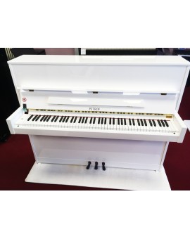 EXPRESSION UPRIGHT PIANO PETROF P118 S1