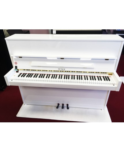 EXPRESSION PIANOFORTE VERTICALE PETROF P118 S1