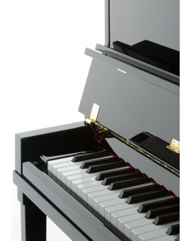 PIANO PETROF P122