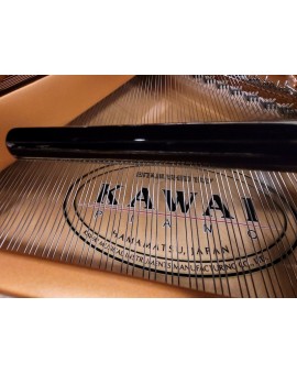 Kawai soundboard - GX2 Aures