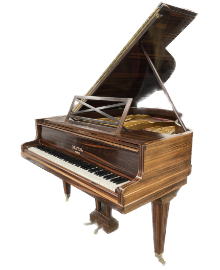 Piano à queue français Pleyel 165 occasion