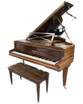 Antieke Collectible Piano PLEYEL 1/4 Grand Wood