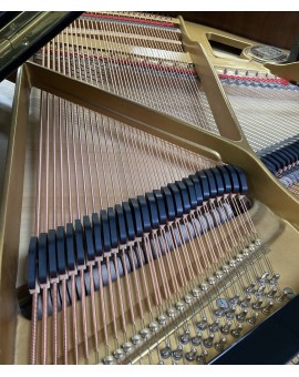 Petrof pianoforte a coda usato PIANO SCHAEFFER NANCY