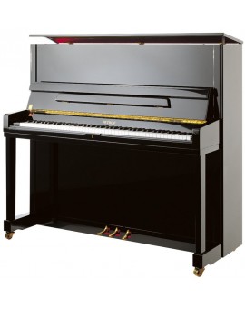 EXPRESSION PIANOFORTE VERTICALE PETROF P131 M1 (NUOVO)