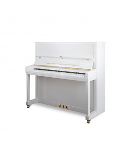EXPRESSÃO PIANO VERTICAL PETROF P131 M1 (NOVO)