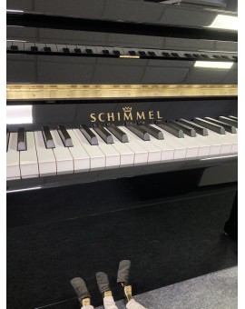 SCHIMMEL TWINTONE 116T