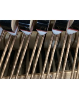 SCHIMMEL USED 174T HAMMERS