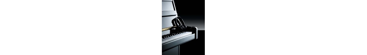 Gebruikte silent piano: Silent upright en vleugel