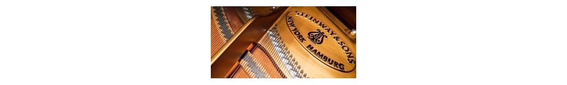 PIANO TUNING & INTERVIEW STEINWAY & SONS
