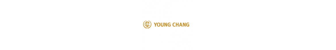 Piano YOUNG CHANG d'occasion